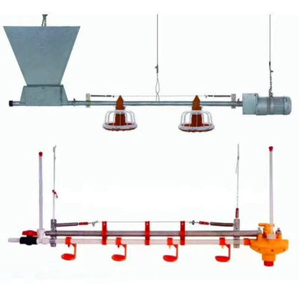 Tam Otomatik Tavuk Yemleme Hattı 14/16 Bölme 450kg/H