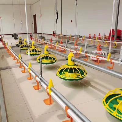 450kg/H Tam Otomatik Hazneli Galvanizli Borulu Tavuk Yemleme Hattı