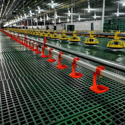 HX Tavuk Yetiştirme Ekipmanları 4 Delik / 3040mm Besleme borusu