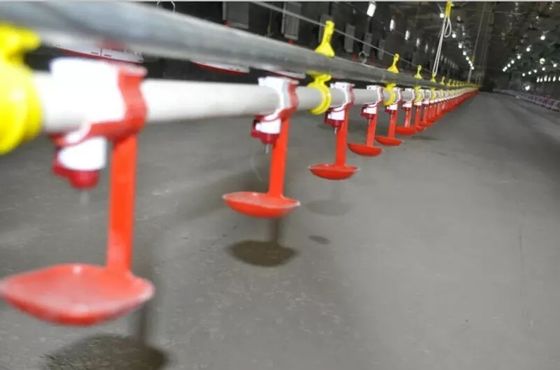 Üretim Tesisi İçin Otomatik Kuluçka Güvercin Tavuk Nipel Suluk Sistemi