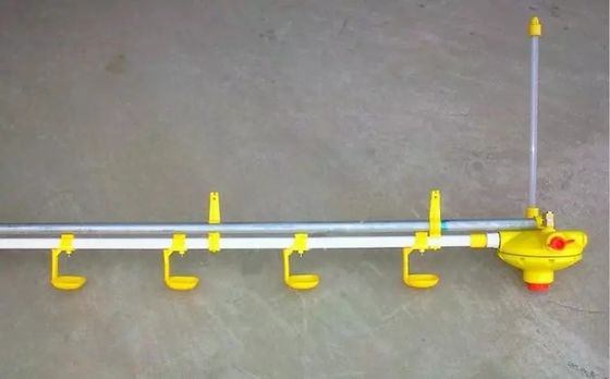 Piliç Üretim Tesisi İçin Kullanışlı Dayanıklı Nipel Suluklar