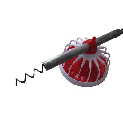 Otomatik yemleme sisteminde Güney Afrika burgu kullanımı