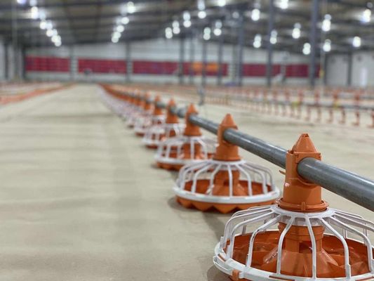 14/16 bölmeler Kanatlı Çiftliği Ekipmanları Plastik Tavuk Besleyiciler ve Suluklar