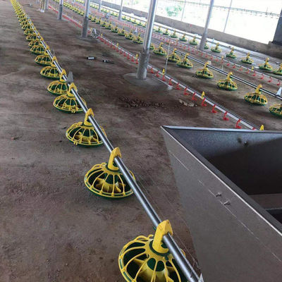 14/16 bölmeler Kanatlı Çiftliği Ekipmanları Plastik Tavuk Besleyiciler ve Suluklar