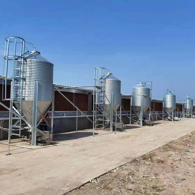 Hayvancılık Tarımsal Yem Kovaları Galvanizli Tahıl Depolama Silosu