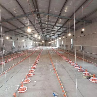 16 Izgara Otomatik Kanatlı Yemlik 45-60 Tavuk Yemi Tavası Kapasitesi
