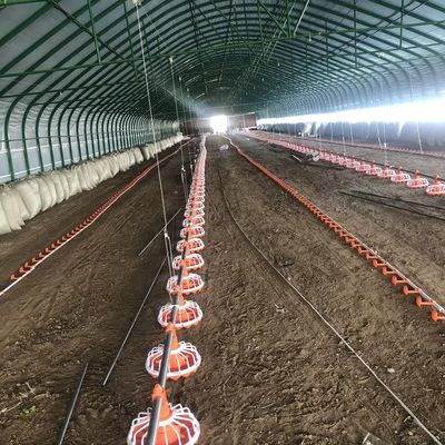 45-60 Tavuk Kümes Çiftliği Ekipmanı 3 pan/3m Tavuk Çiftliği Besleme Sistemi
