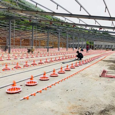4 Pan/3m Tavuk Çiftliği Ekipmanları 380v Otomatik Besleme Sistemi