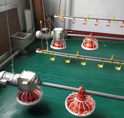 Damızlık / Broiler Kümes Hayvanı Yetiştirme Makinesi 14 16 Bölmeli