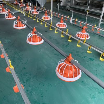 EO Besleme Tavuk Çiftliği Ekipmanları Kanatlı Hayvanlar İçin Otomatik Besleme Sistemi 1 Yıl Garanti