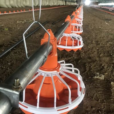 3 Tava/3m Tavuk Yemleme Sistemi Kolay Kurulum Uzun Kullanım Ömrü