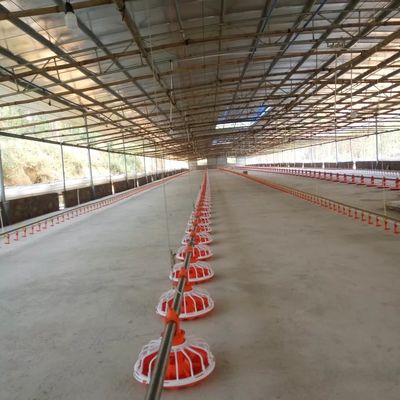 14 Izgara 16 Izgara Tavuk Çiftliği Ekipmanları Tavuk İçin Besleme Hattı