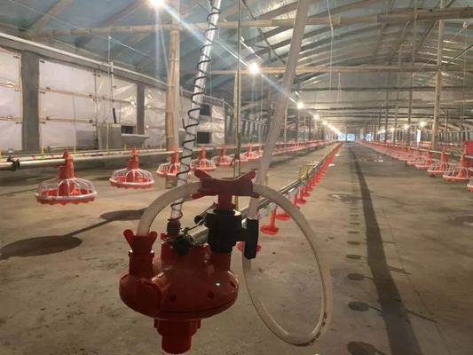 4 Tava / 3m Tavuk Besleme Ekipmanı 380v 0.75kw, Sürüş Cihazı ile